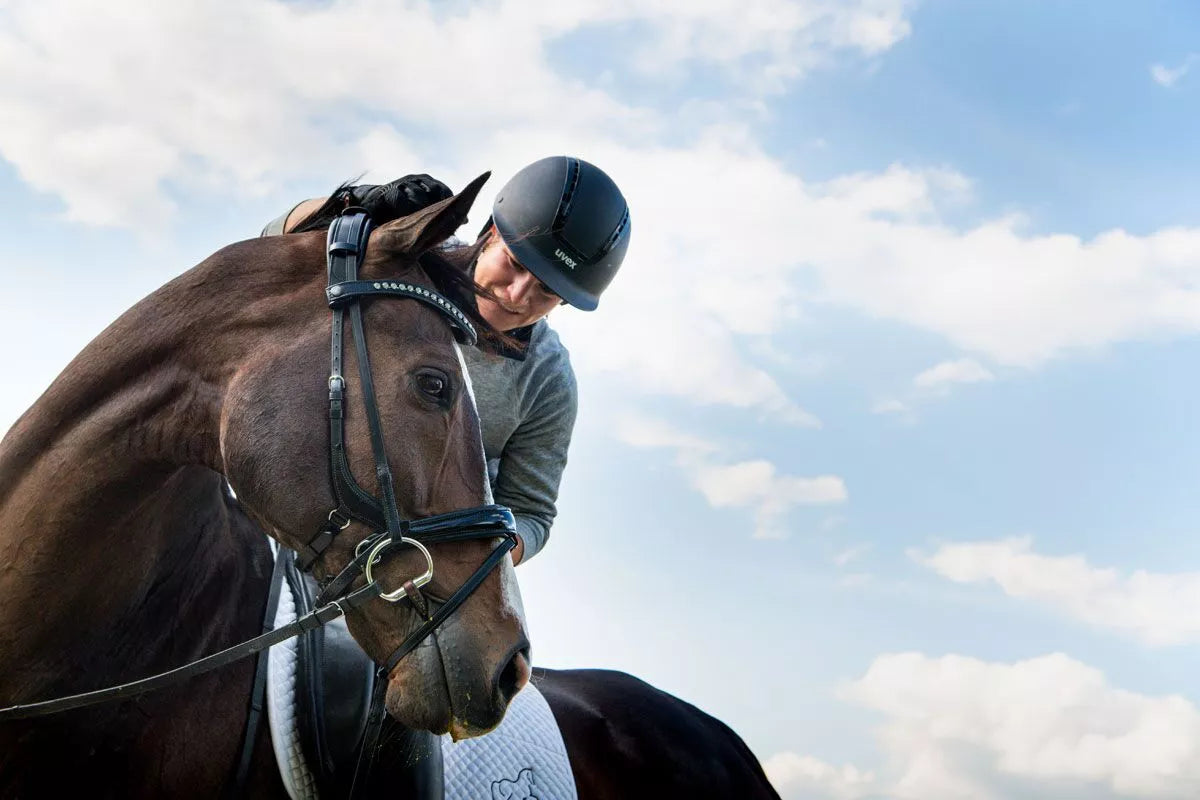 Start to Cavalor – everything you want to know about Cavalor feeds ...