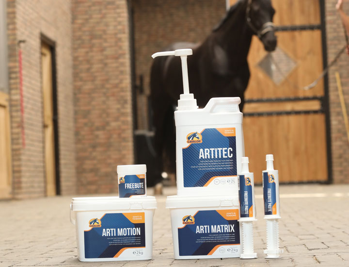 Joint Supplements for Horses