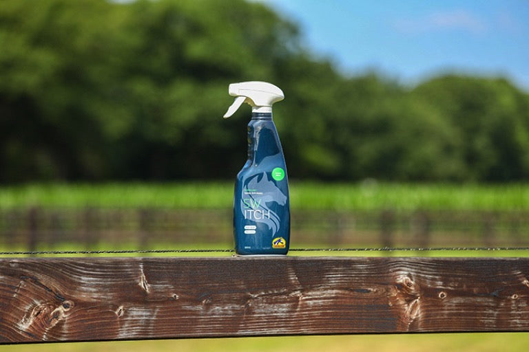 Horse Supplements & Care Products from Cavalor Direct