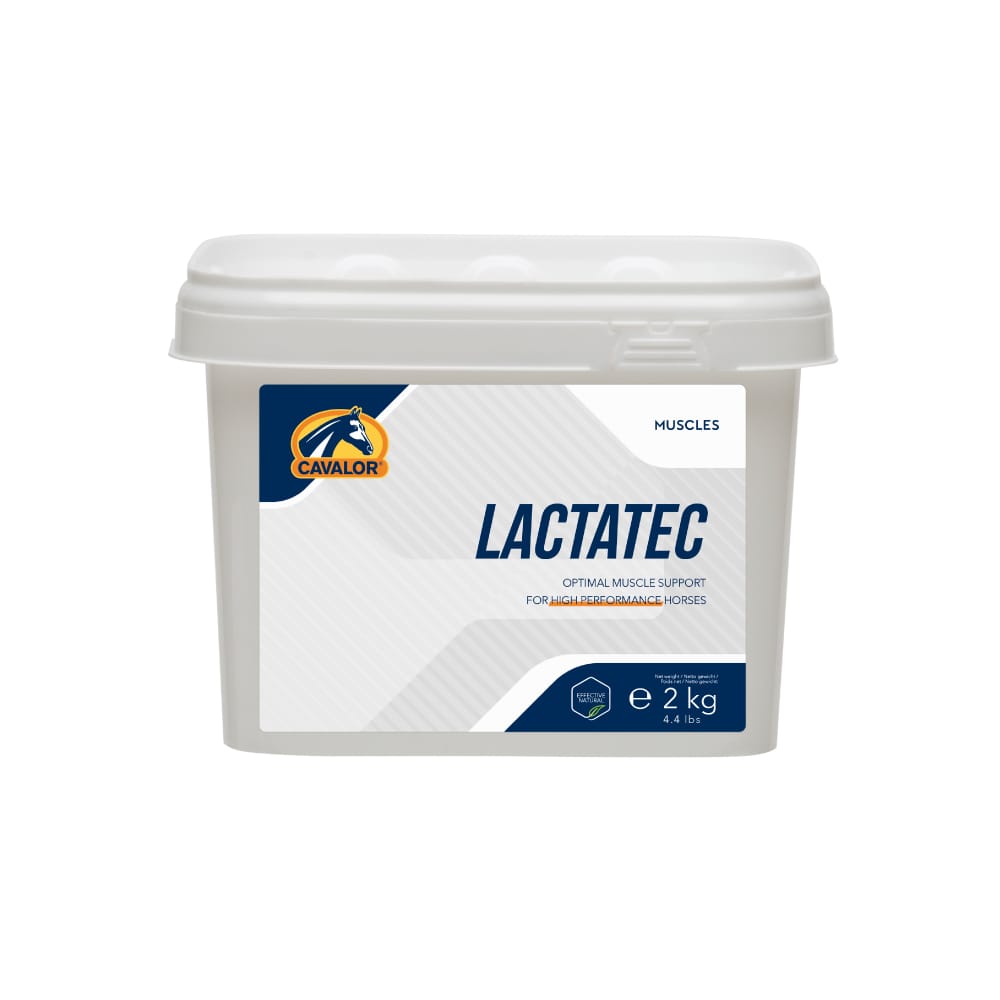 2 Kgs Cavalor Lactatec Powder - Cavalor Direct