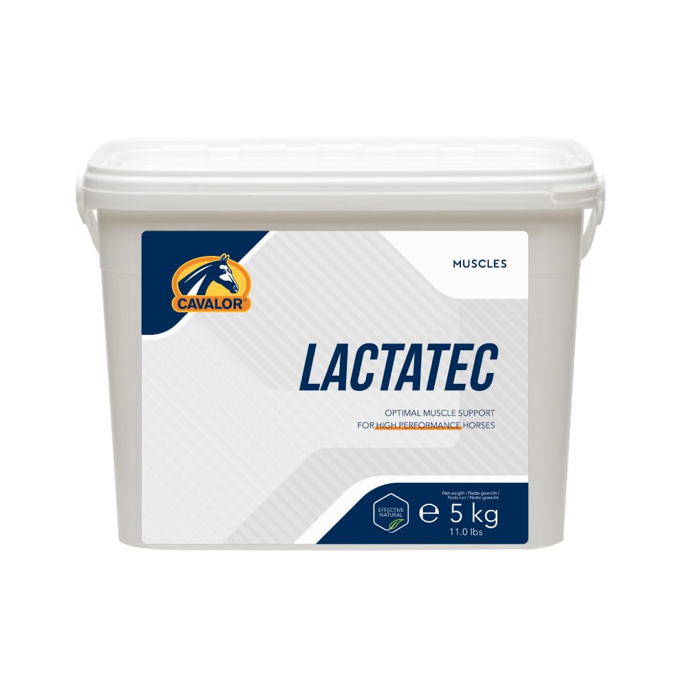 5 Kgs Cavalor Lactatec Powder - Cavalor Direct